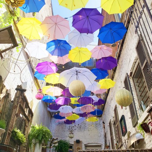 Red-Tree-umbrellas