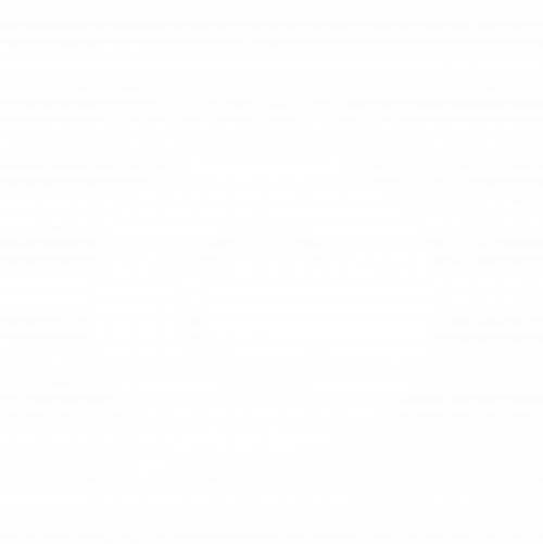 city champs logo white